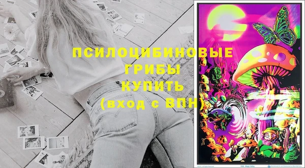 Альфа ПВП Лагань