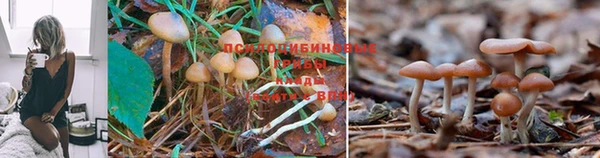 мефедрон Куйбышев