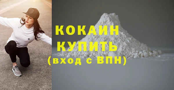 шишки Кукмор