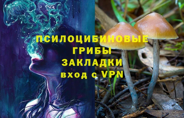 шишки Кукмор