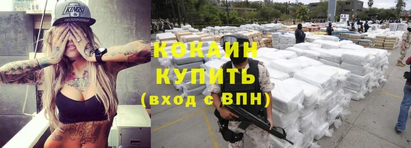 шишки Кукмор