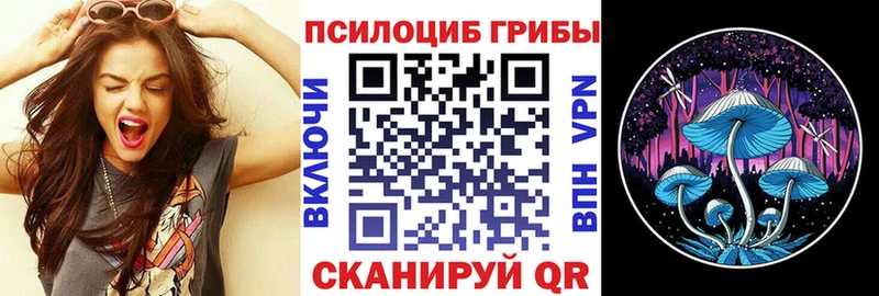 OMG зеркало  Суровикино  Галлюциногенные грибы Magic Shrooms 