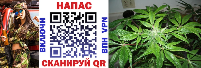 купить закладку Суровикино Шишки марихуана семена